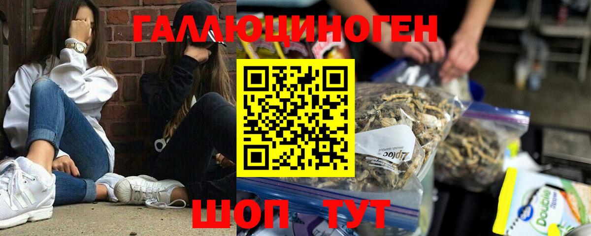 Кстово  Галлюциногенные грибы Psilocybe  Вход с VPN 