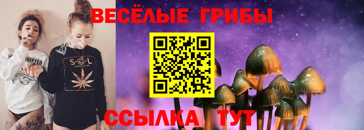 Псилоцибиновые грибы GOLDEN TEACHER Кстово