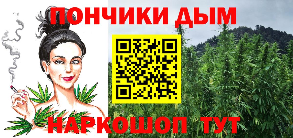Шишки марихуана сатива Кстово